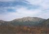 nizketatry68